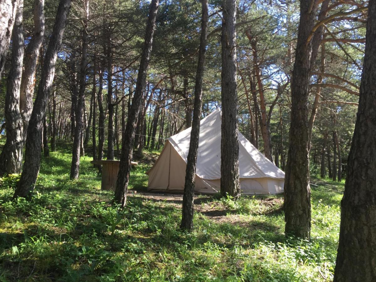 Camping La Chabannerie Hotel Saint-Martin-de-Clelles Exterior foto